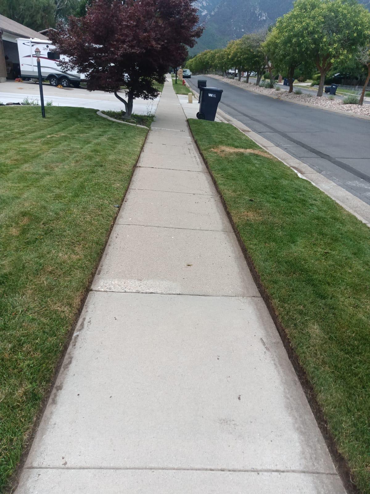 Professional Lawn Care in Utah